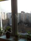 Хостелы Hostel 9 этаж Минск-6
