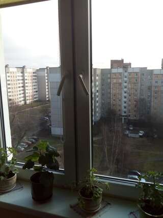 Хостелы Hostel 9 этаж Минск Кровать в общем номере для женщин с 4 кроватями-1